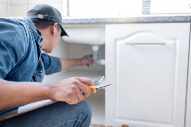 Best Plumbing Inspection Services  in Calumet City, IL